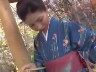 Japanilainen aikuinen video-